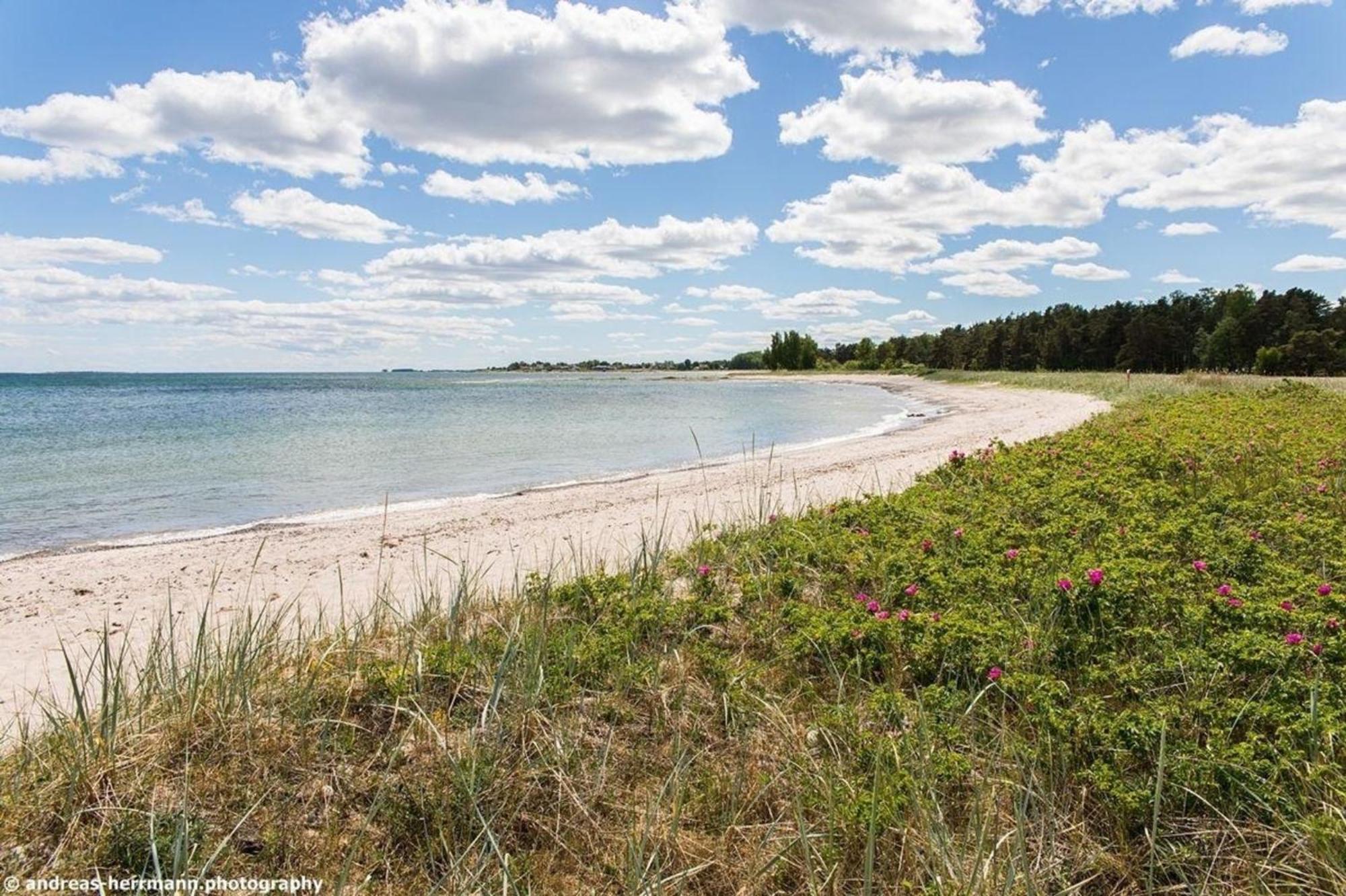 Neues Ferienhaus Auf Gotland 700 Meter Zum Meer Ljugarn Exterior foto