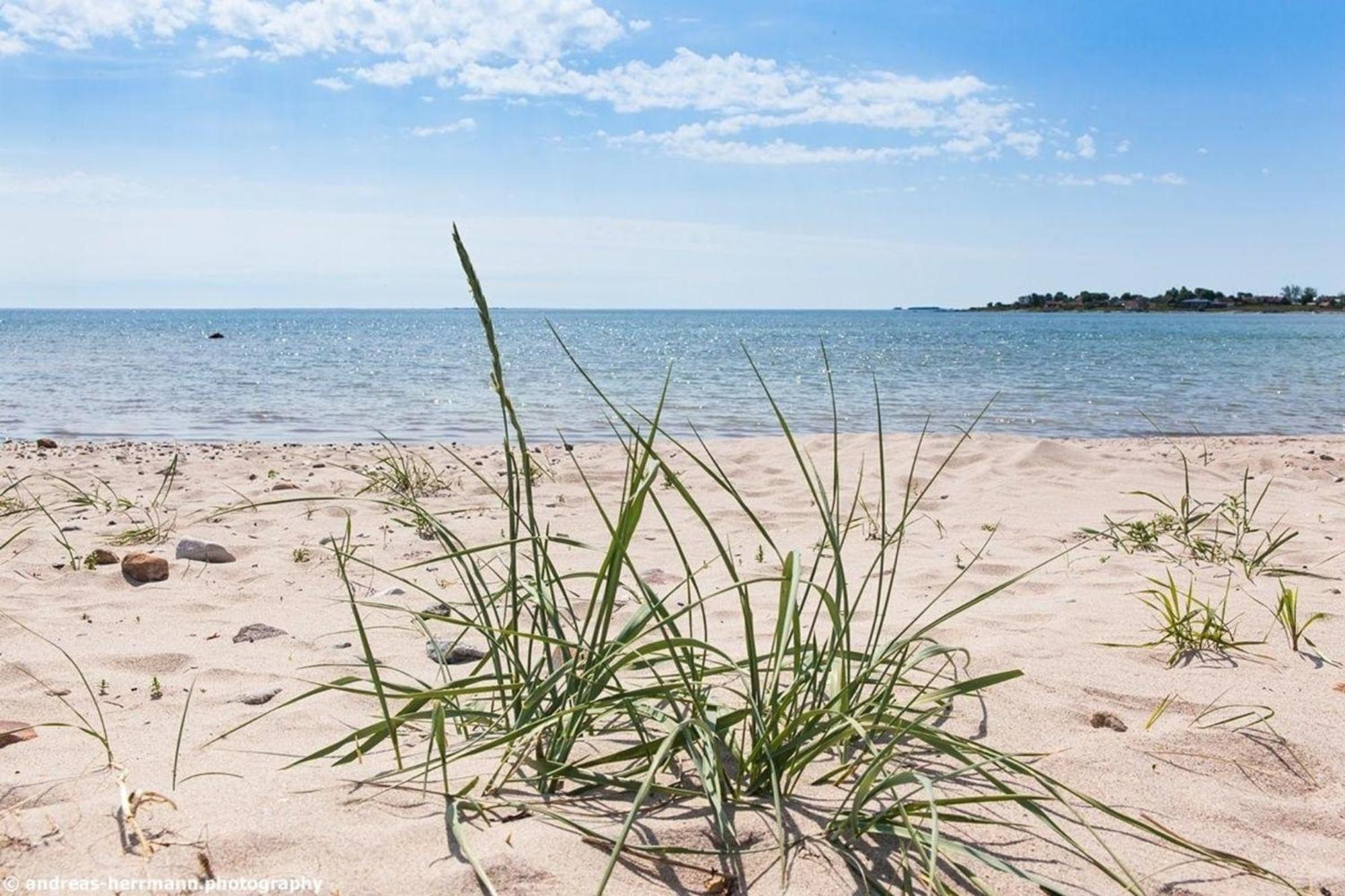 Neues Ferienhaus Auf Gotland 700 Meter Zum Meer Ljugarn Exterior foto