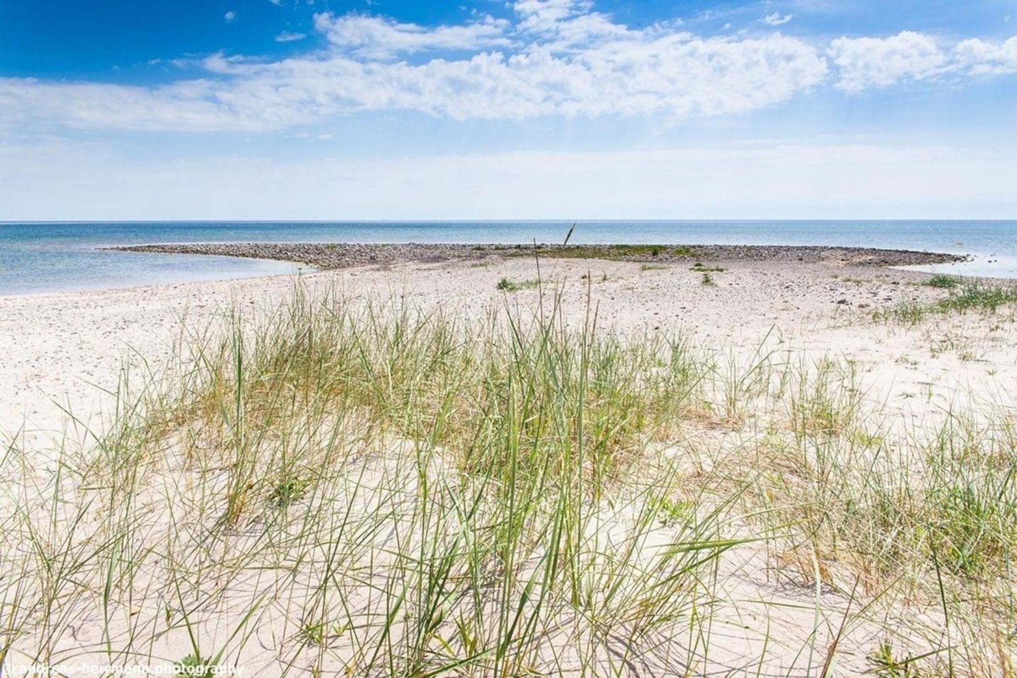 Neues Ferienhaus Auf Gotland 700 Meter Zum Meer Ljugarn Exterior foto